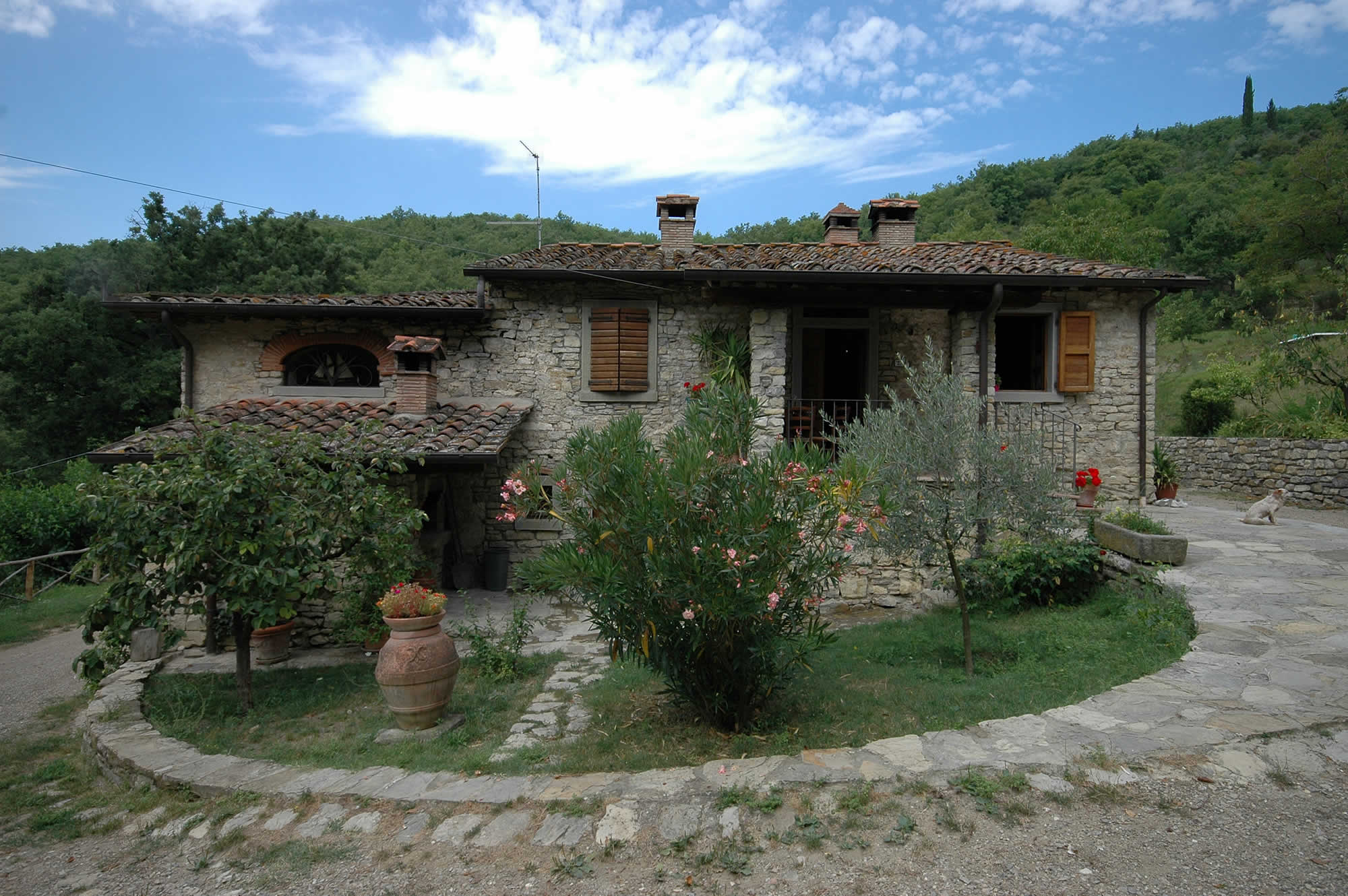 ginestrino